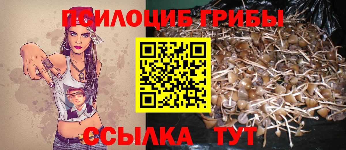 Костомукша  наркота  Вход с VPN  Псилоцибиновые грибы Psilocybe 